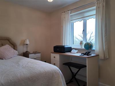 Picture 19